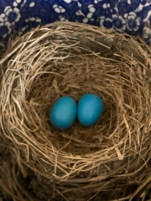 Realistic Pair FAUX ROBIN'S EGGS!  Easter!  Crafting!  SPRING AT LAST!  