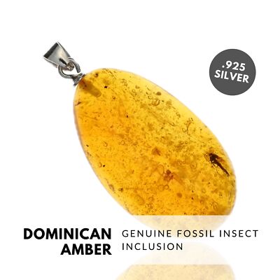 GNAT - Natural Dominican Amber Pendant, Fossil Inclusion, Sterling Silver