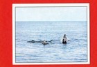 Bild 66 von 66
