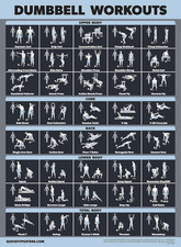 Palace Learning Dumbbell Workout Exercise Poster Dark  LAMINATED, 18" X 24" 
