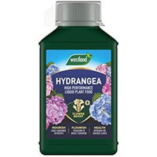 Westland Hydrangea High Performance Liquid Plant Food 1 Litre 7.99 per litre