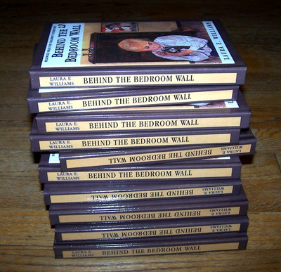 Set of 10 ''Behind the Bedroom Wall'' children's guided reading school books