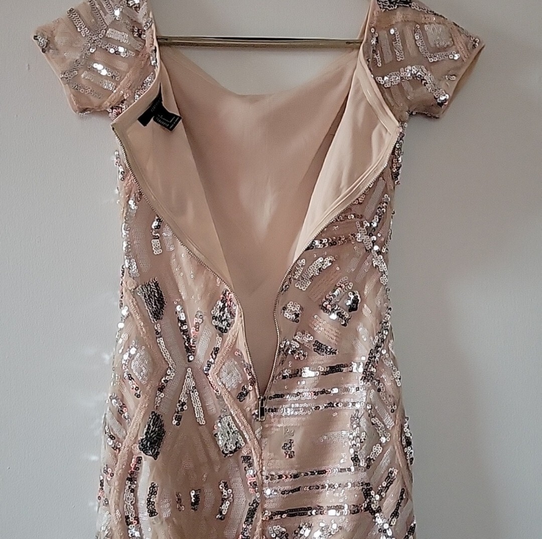 Forever 21 Blush/Silver Sequin Bodycon Dress | eBay