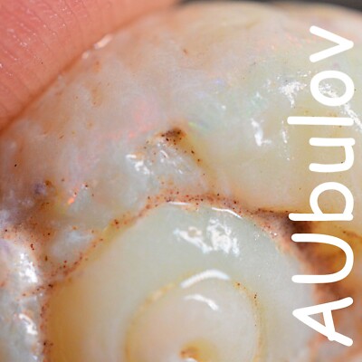 CP Rough Opal Full Solid Snail Shell + Some Beautiful Colour 35.40 Carats