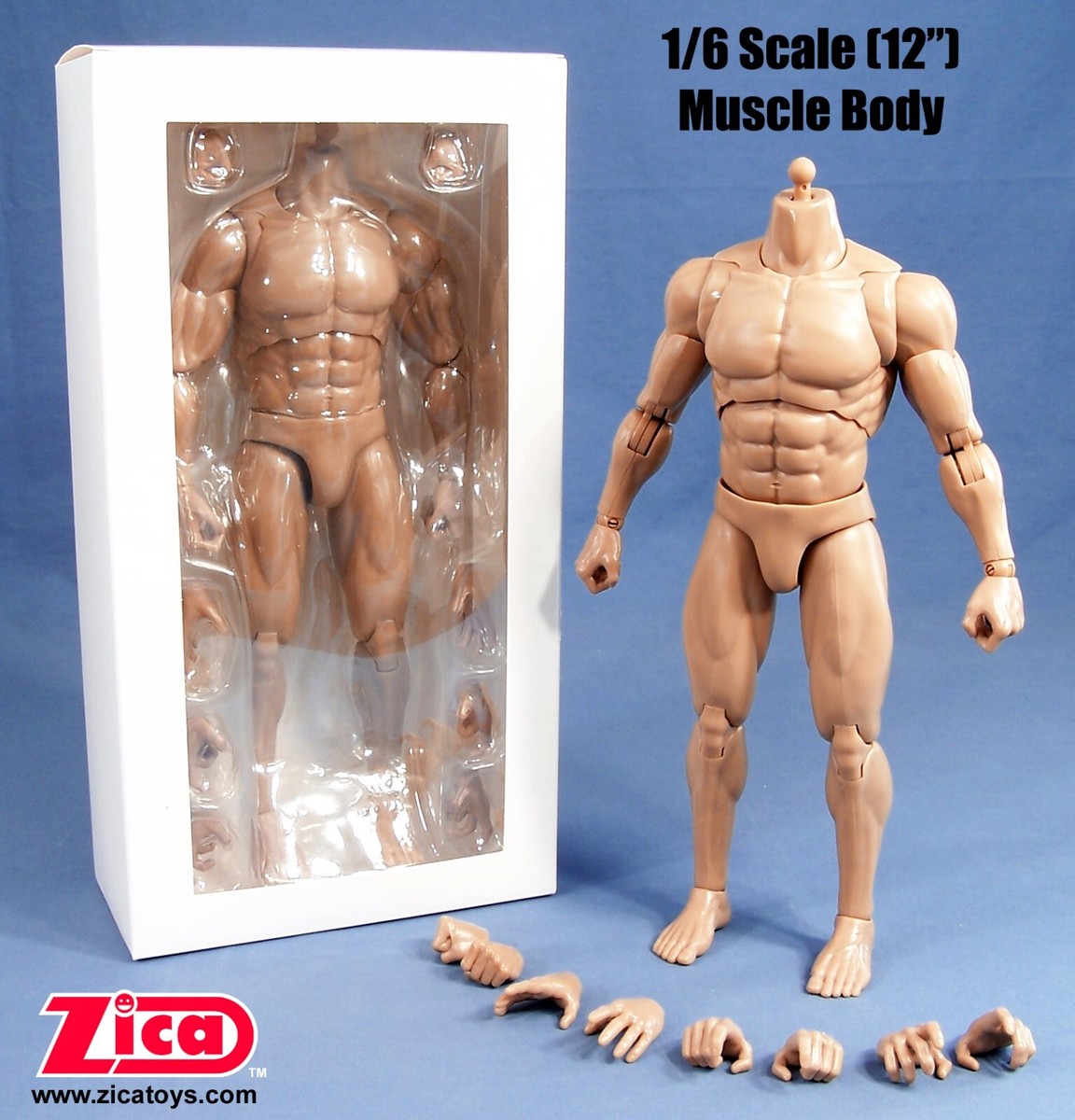ZICA Toys 1/6 Scale (12') Male Muscle Body | eBay