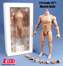 ZICA Toys 1/6 Scale (12') Male Muscle Body