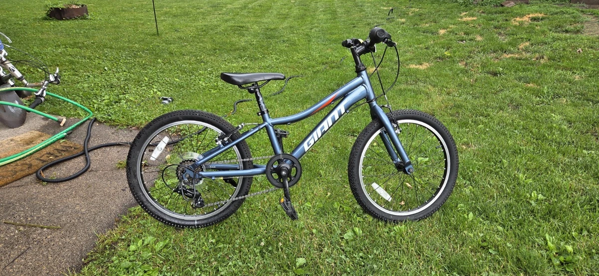Las mejores ofertas en Bicicletas de rueda Giant 24 en | eBay