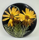 5 Vintage Lucite Paperweights and Decorative Items w. Rolfe signed & others — photo 5
