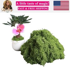 5.3oz Green Fake Moss Artificial Floral Moss Faux Plant for DIY Crafts Fairy ...