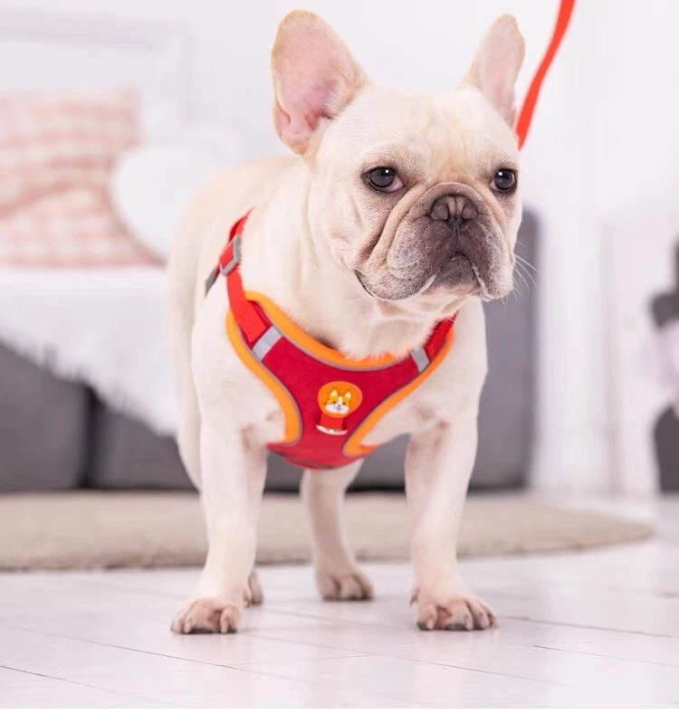 Dog Harness Set No Pull Adjustable Reflective Breathable Harness French Bulldog