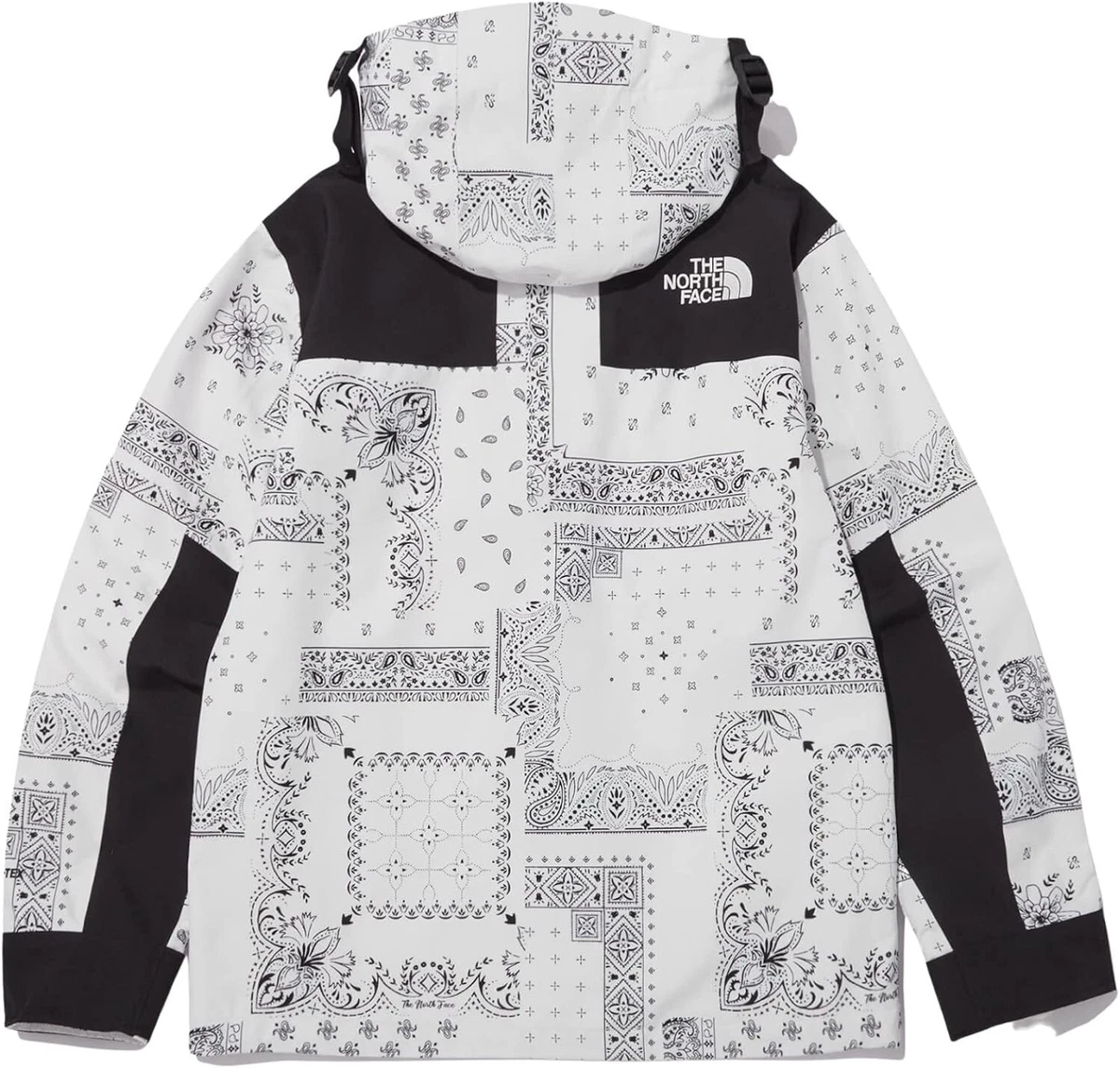 The North Face Novelty ECO GTX Gore-tex Mountain Jacket White