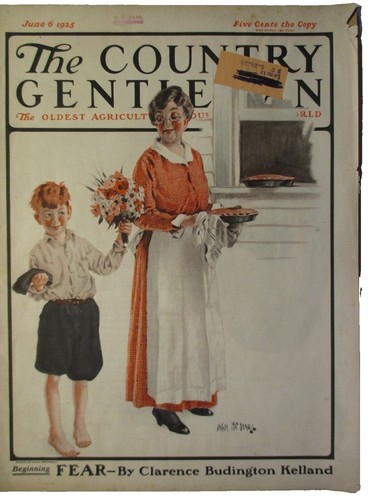 The Gentleman's Country House 洋書 The Gentleman'S Country House Book | eBay