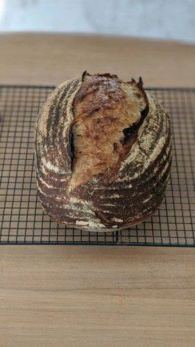 109 y/o French Sourdough Starter & Recipe - Organic Wheat - Picture 6 of 9