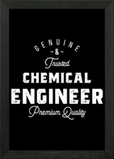 Gift for Chemical Engineer Framed Wall Art Poster Canvas Print Picture