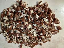 1 pound- Freshly shelled Black Walnuts, large pieces, fall 2025 crop