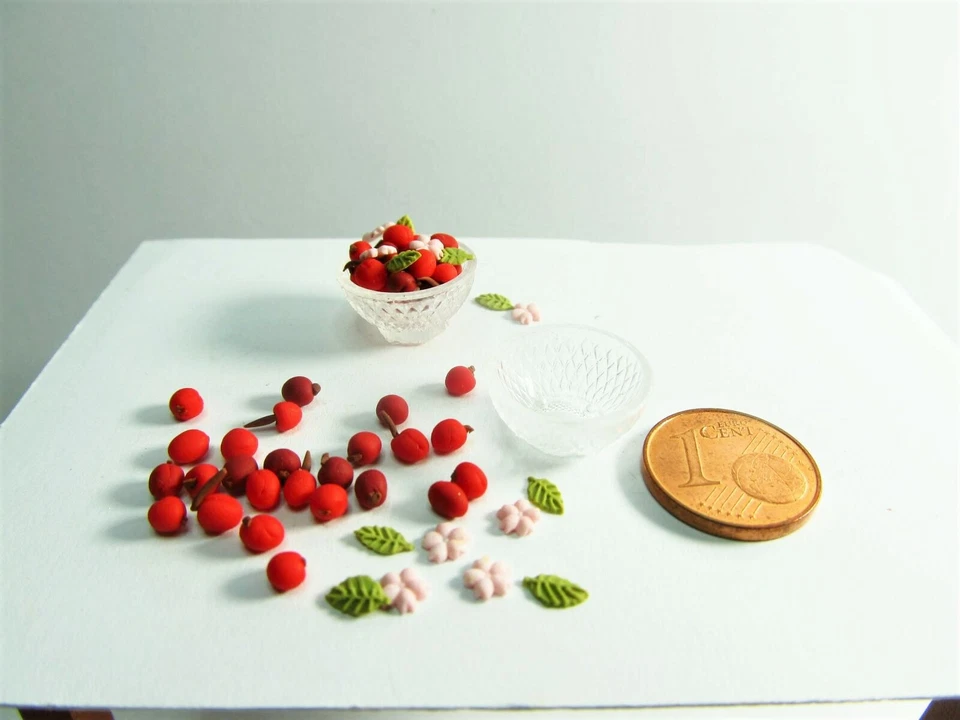 SMILETIGGERS MINIATUREN *~* Schale mit Kirschen ,Blüten & Blätter , Handarbeit *~*