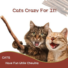 5PCS Cat Chew Sticks Natural Catnip Sticks Dental Teeth Cleaning Chew Toy for Ca