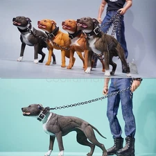 JXK 1:6 Scale American Pit Bull Terrier Dog Model Animal Figure Collection Decor