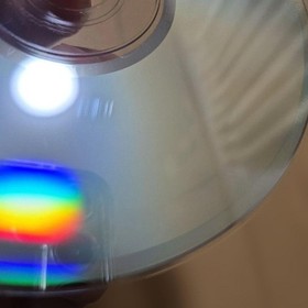 willy wombat saturn oA