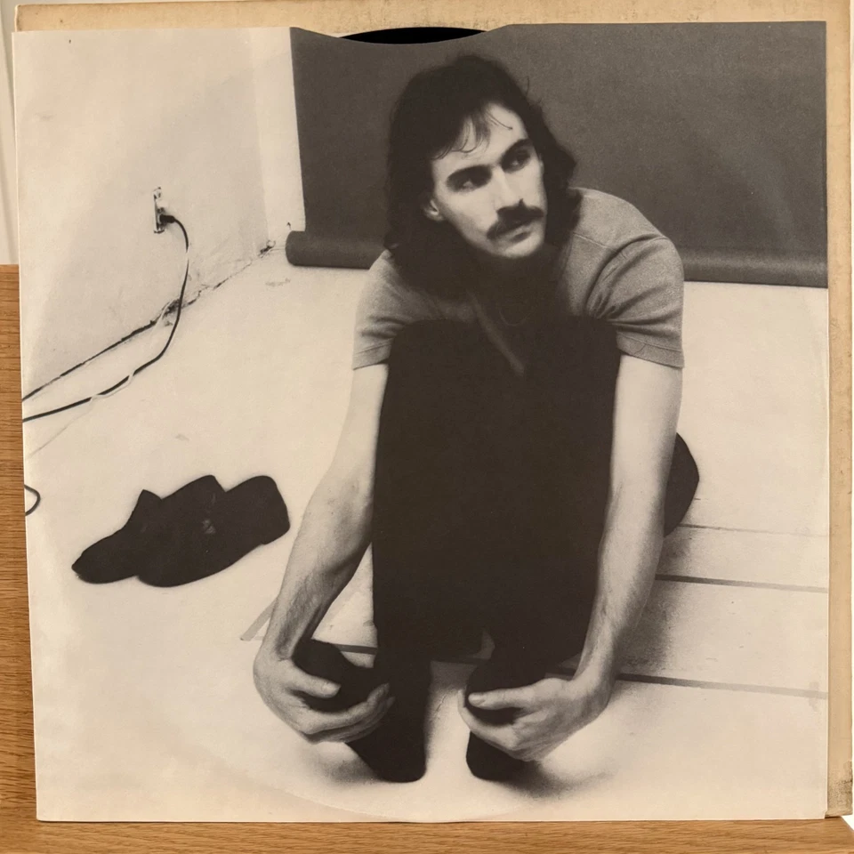 James Taylor Greatest Hits Vinyl LP WB BSK 3113 Fire Rain You've Got A Friend Foto 4 de 4