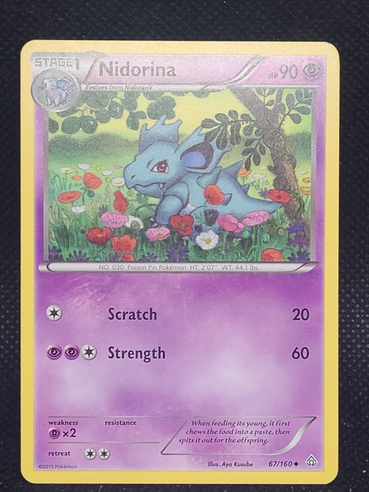 Nidorina Pokemon XY - Primal Clash #67/160 MP