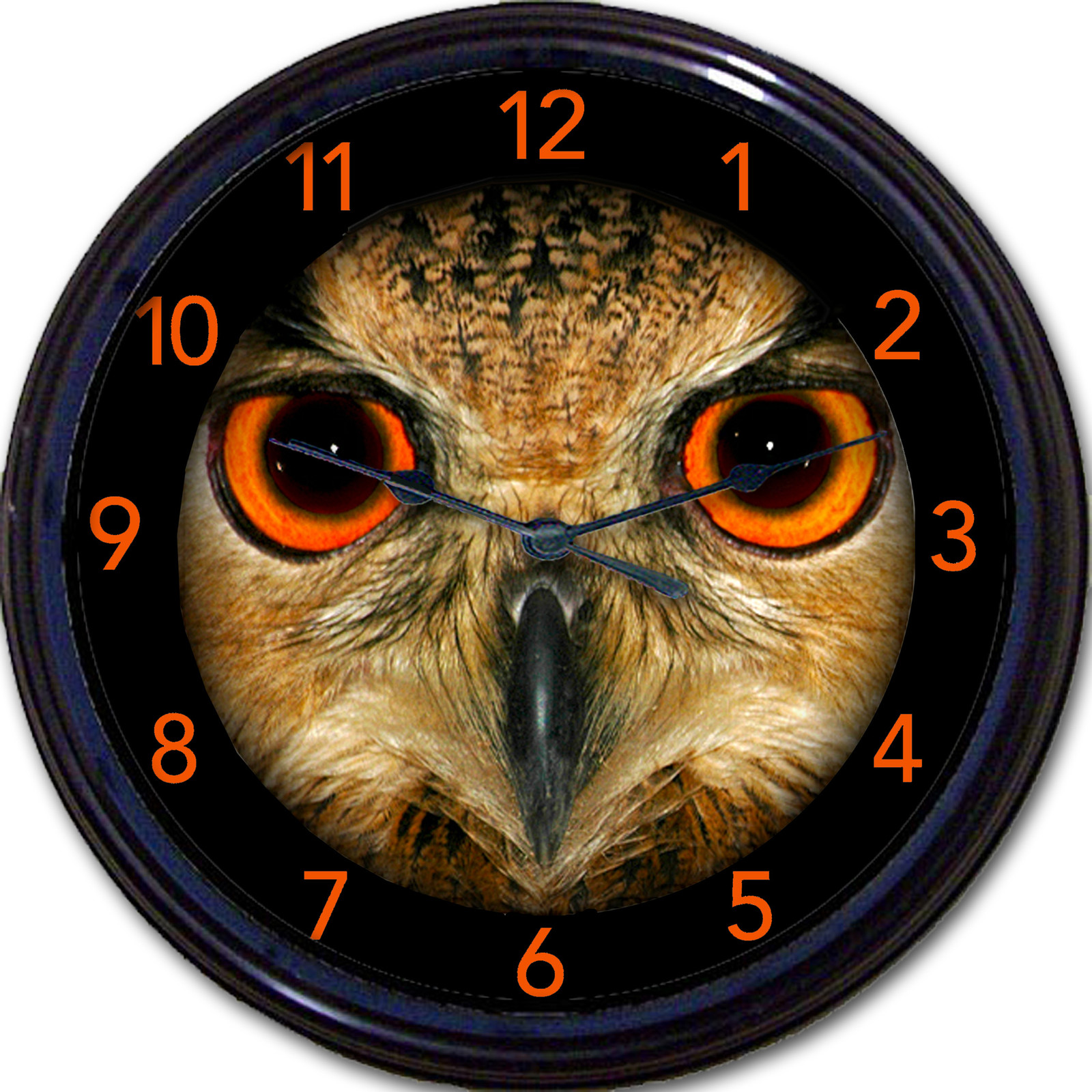 Owl Bird Orange Eyes Wall Clock Birds Owls Nocturnal Halloween New 10"