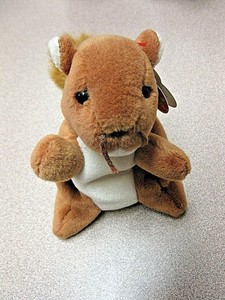 nuts beanie baby