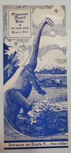 Colorado Petrified Forest Tourist Pamphlet - Picture 2 of 4