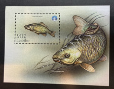 Stamps Lesotho Marine Life MNH 1998 SC#1146 (Sheet of 1) as Shown