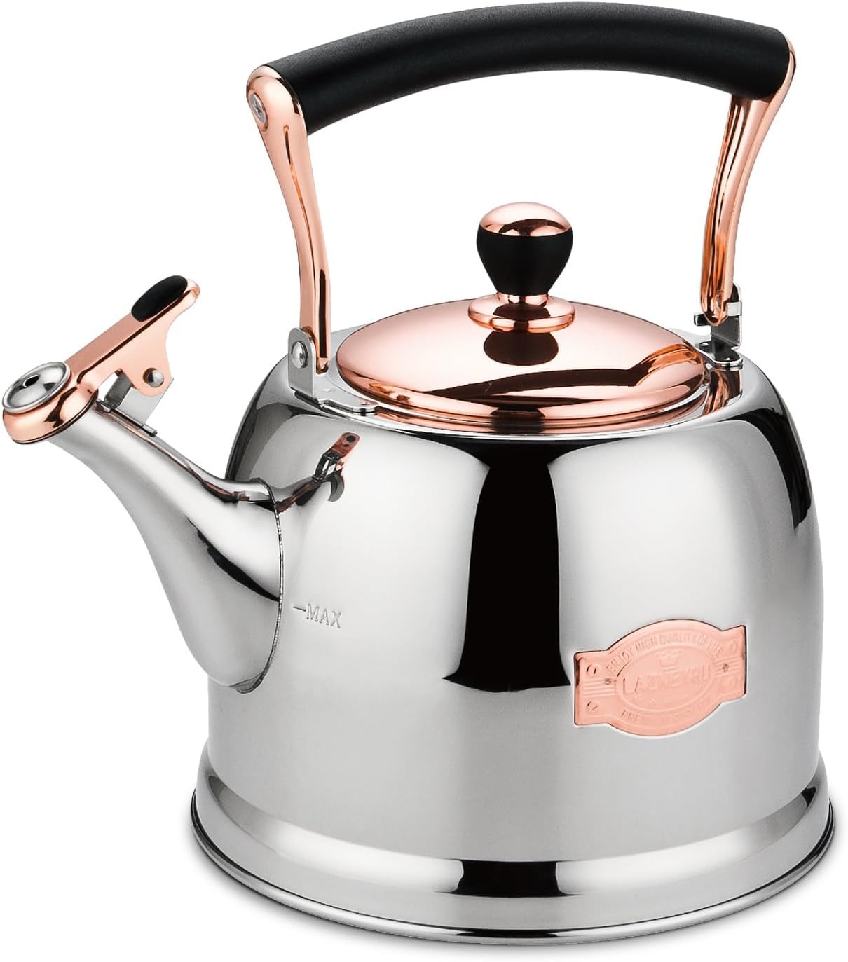 3L Edelstahl-Wasserkocher für Camping Tee in Teekanne mit Griff pfeifend, Gold