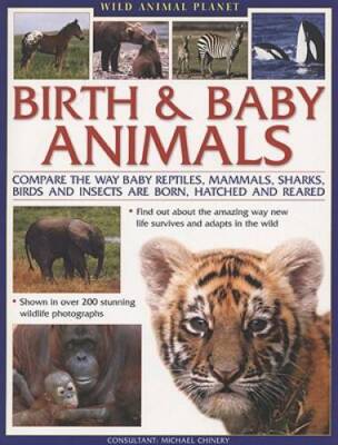 Wild Animal Planet: Birth and Baby Animals: Compare the way reptiles, mam - GOOD