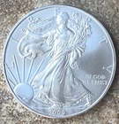 2009 American Silver Eagle Dollar Brilliant Uncirculated Beautiful Coin