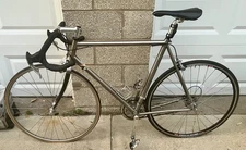 Litespeed Titanium Eddy Merckx Road Bike - Campagnolo - Selle - DT SWISS