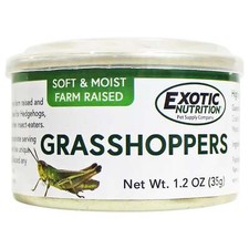 Canned Grasshoppers (1.2 oz.)- Hedgehogs, Sugar Gliders, Chickens, Reptiles