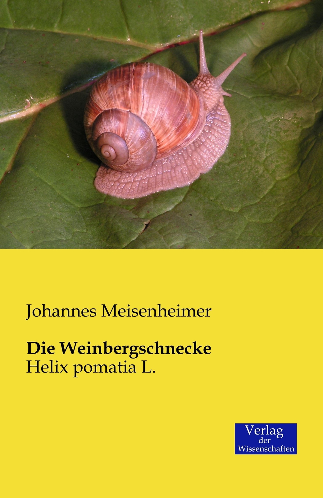 Johannes Meisenheimer | Die Weinbergschnecke | Taschenbuch | Deutsch