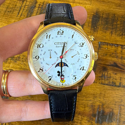 Citizen Eco-Drive Disney Moon Phase Perpetual Calendar Gold Tone Leather Watch