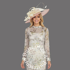 Phase Eight BNWT Size 16 Beautiful Dress Designer Hatinator Mother of the Bride