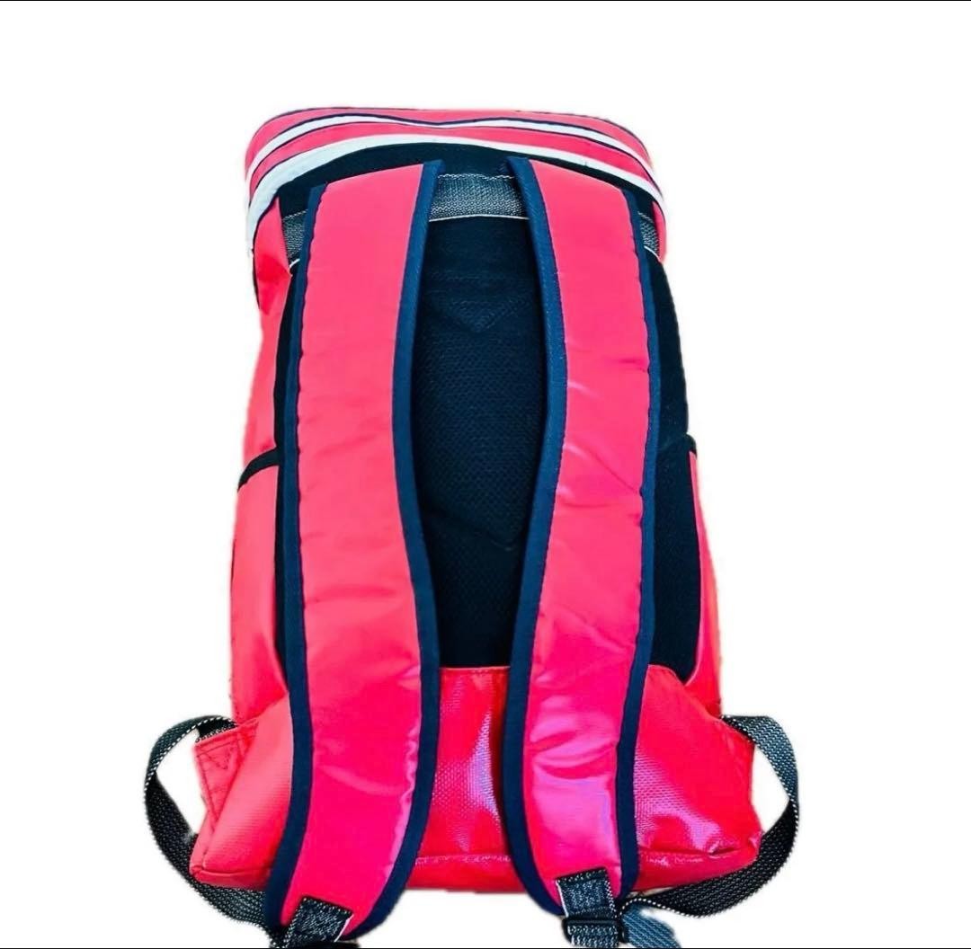 DESCENTE square backpack Backpack Move Sport Japan - image 5