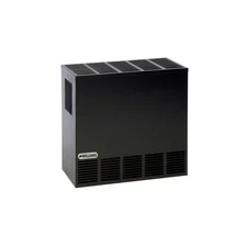 WILLIAMS 20,000 BTU Enclosed Front Natural Gas Room Heater Model 2001622A