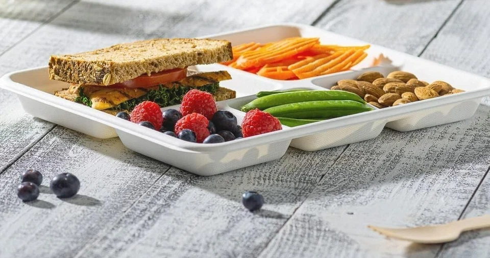 Disposable Plates 6 Compartment Trays Eco-Friendly Bagasse Dinner Plates 25 Pcs - Image 3 of 4