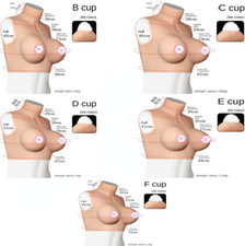 2023 False breast silicone corset cosplay clothing silicone breast false breast