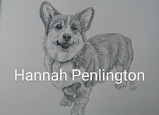 A4 Corgi Dog pet Portrait by Hannah Penlington, pencil drawing by artist, 