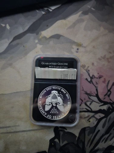 2013 1oz Pure Silver American Eagle Silver Dollar. Uncirculated