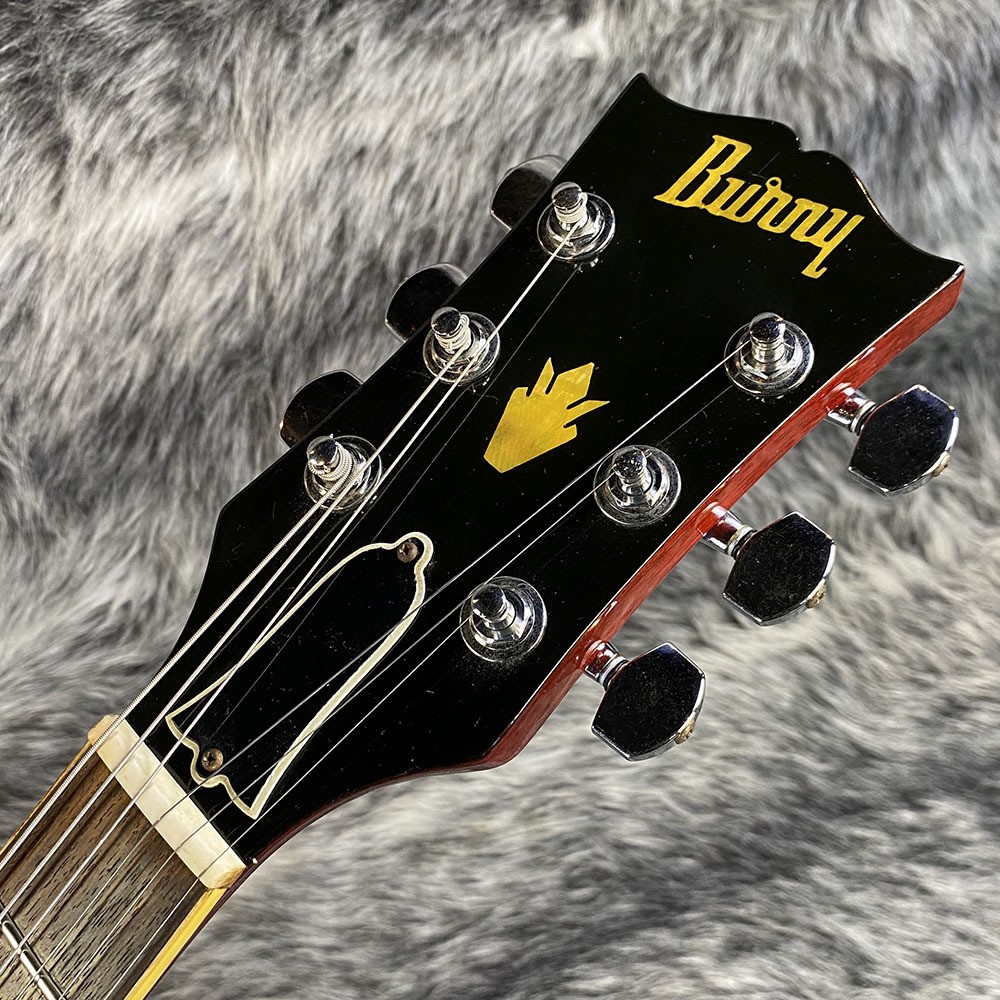 Burny SG-75AY WR Used Electric Guitar | eBay