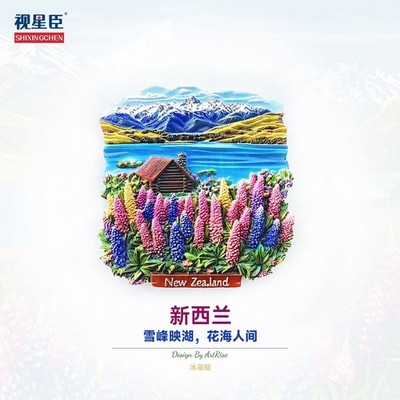 Neuseeland 3D Kühlschrankmagnet Zuhause Küchenutensilien Weltreise Souvenir Geschenk