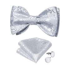 Silk Bow Ties for Men,Paisley/Striped/Plaid Self Tie Bow Tie and Pocket Sliver