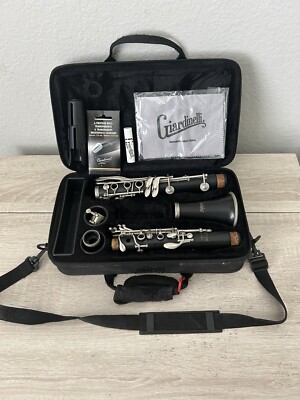 超価格、人気のセルマークラリネット、CL300、お買い得商品、1台限り！ Selmer CL300 BB Clarinet for sale online | eBay