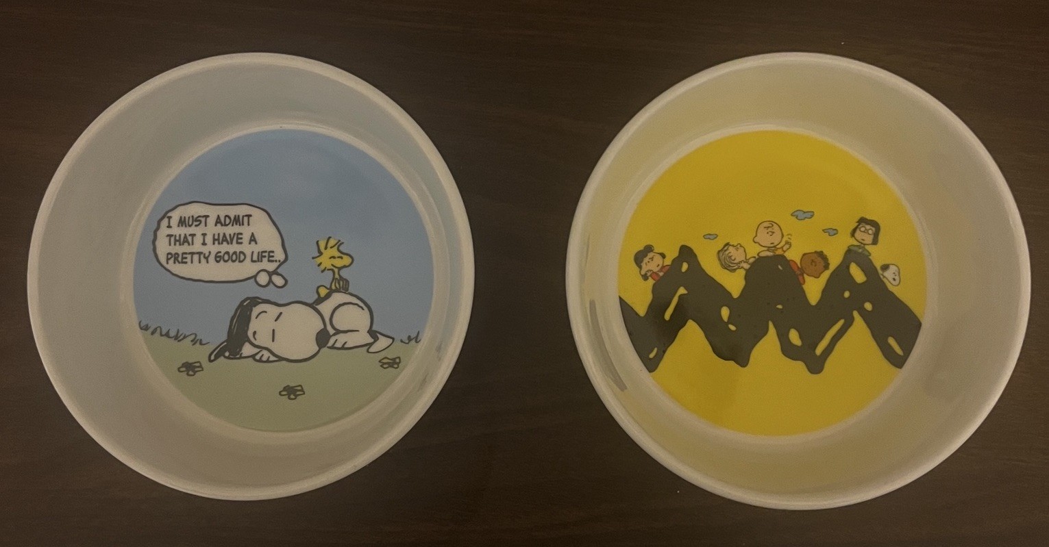 Water Bowls