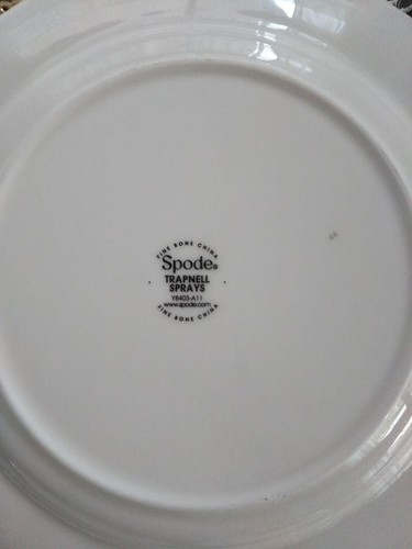 Spode Trapnell Sprays Cup Saucer Plate 23cm Trio Set - Picture 8 of 18