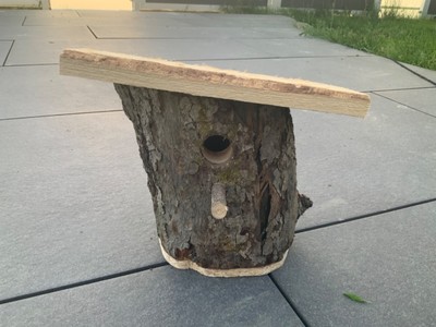 Vogel Nistkasten / Brutkasten Einzelstück Handarbeit aus Naturholz Echtstamm